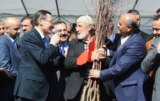 gokcek visne dagitim