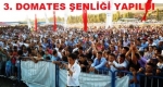 Akkuzulu Domates Şenliği Yapıldı