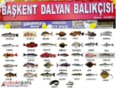 Başkent Dalyan Balıkçısı – Manav